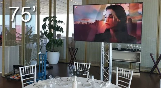 televisores led