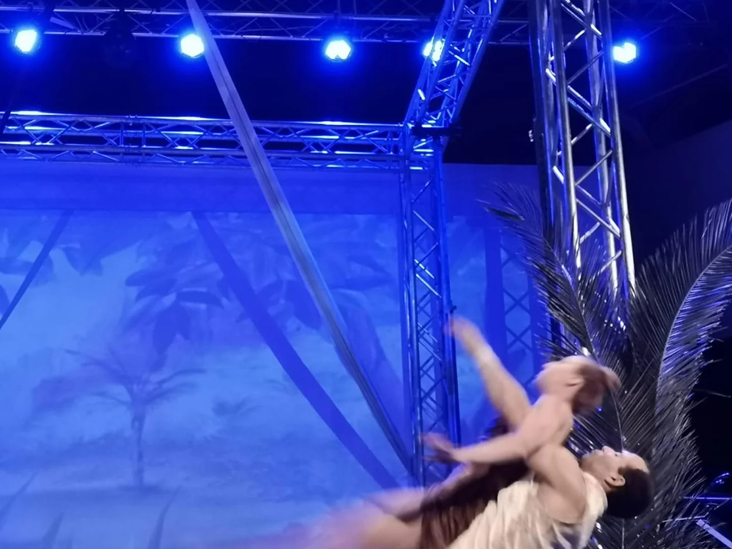 estructura bailes